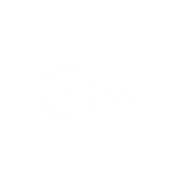 Brand w2